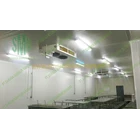 Cold Storage Prcocessing Room Sumbawa 4